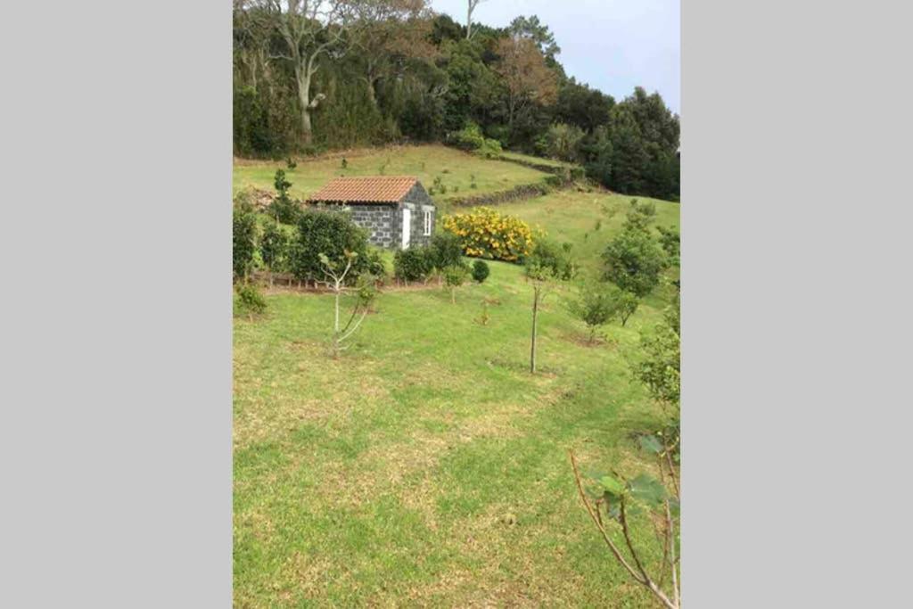 Holiday home Summer House With Bbq And Garden